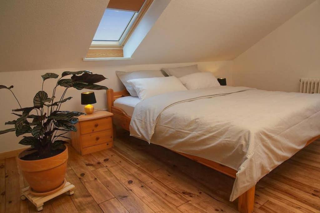 Ferienwohnung “Mount Meissner” Germerode Экстерьер фото